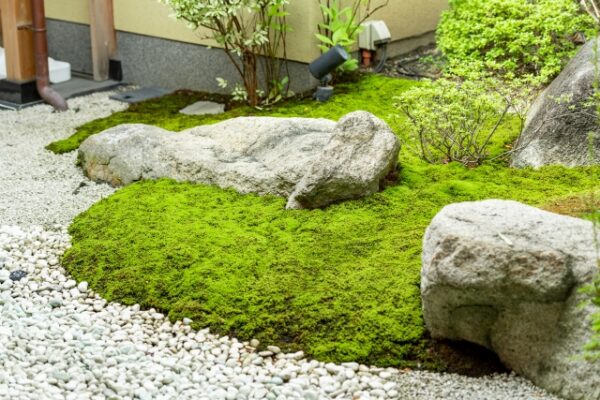 庭 和風