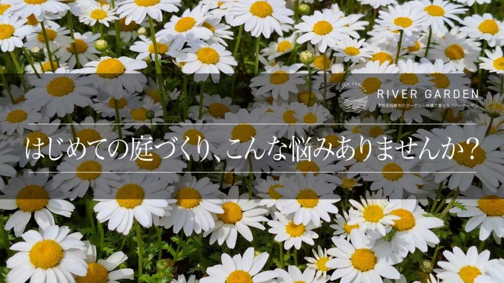 はじめての庭づくり、こんな悩みありませんか？
