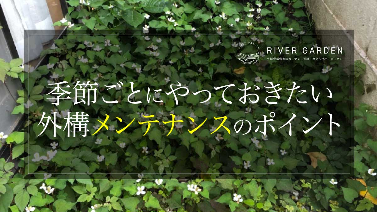 季節ごとにやっておきたい外構メンテナンスのポイント