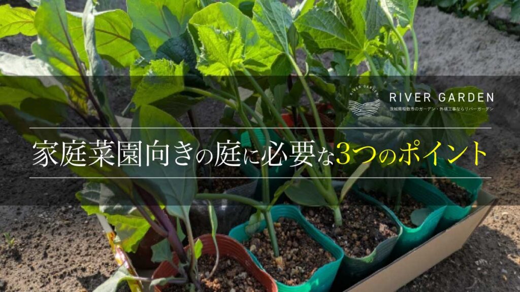 家庭菜園向きの庭に必要な3つのポイント