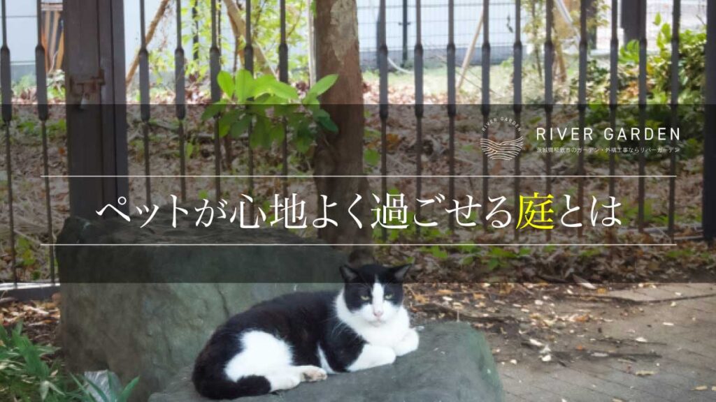 ペットが心地よく過ごせる庭とは