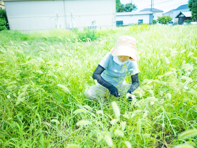 雑草対策におすすめの舗装方法5選